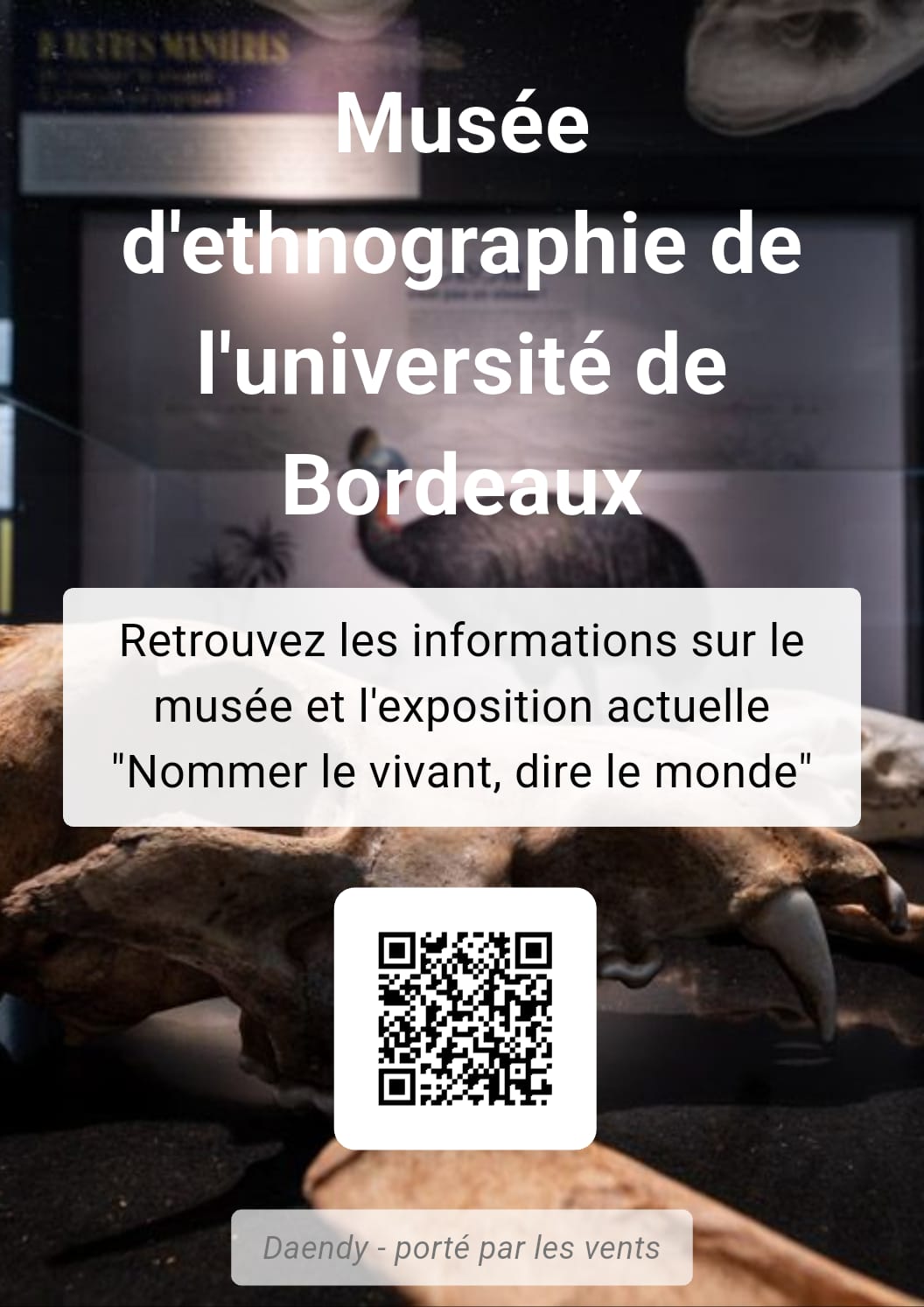 Exemple SPORE - Musée d'ethnographie de l'université de Bordeaux